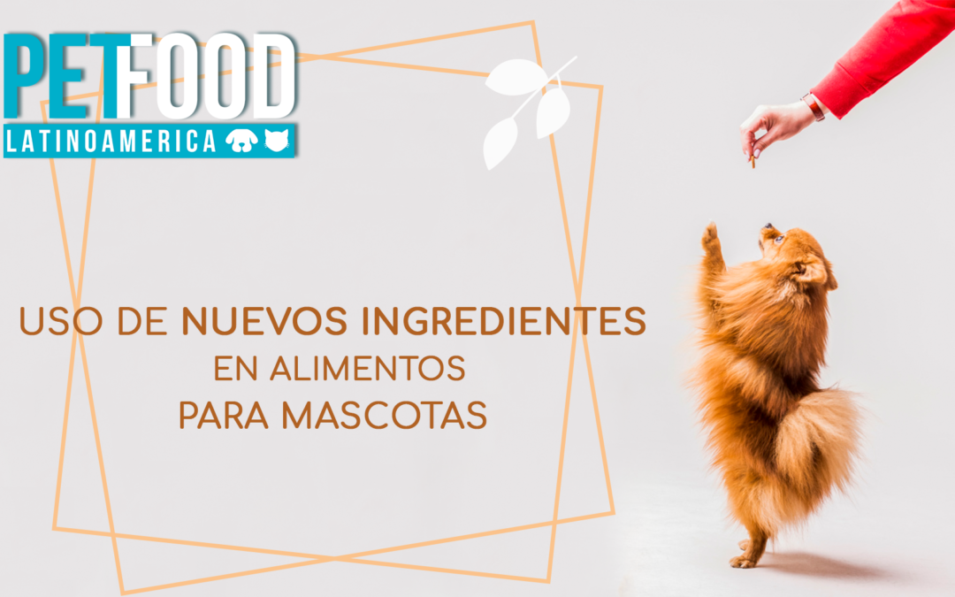 Uso de nuevos ingredientes en alimentos para mascotas con Miguel Angel López