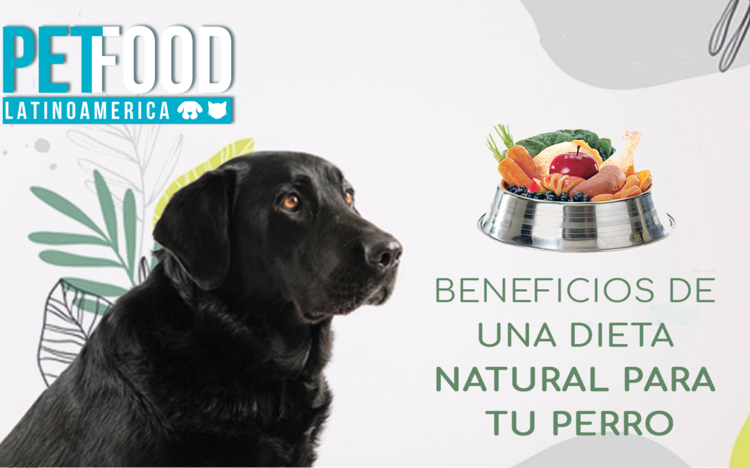 La nueva tendencia de comida natural para perros