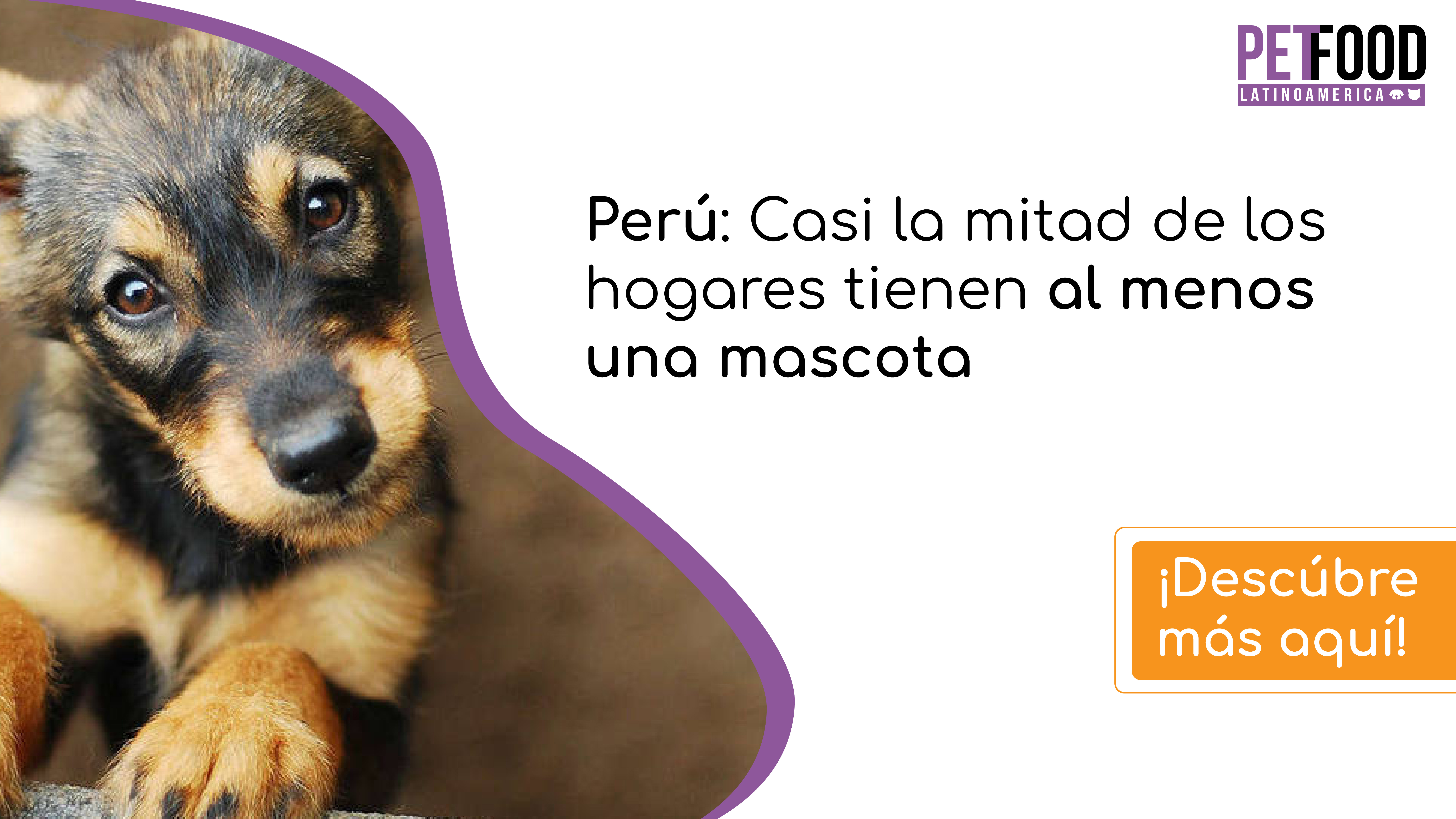 Perú: Casi la mitad de los hogares tienen al menos una mascota